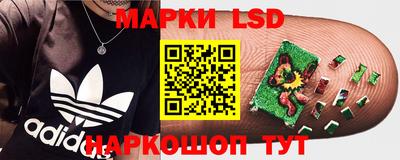 СК Будённовск