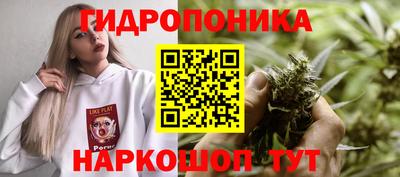 СК Будённовск