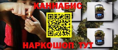 СК Будённовск